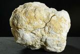 Large Sparkling Quartz Geode - Morocco #351955-2